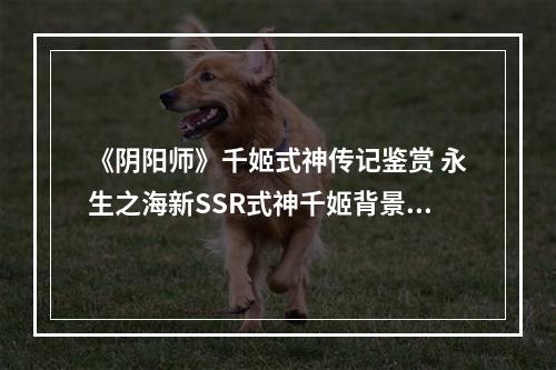 《阴阳师》千姬式神传记鉴赏 永生之海新SSR式神千姬背景故事