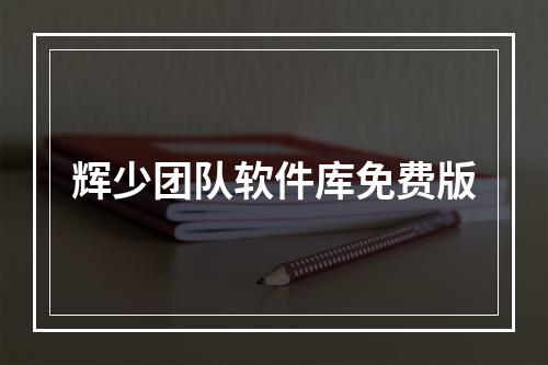 辉少团队软件库免费版