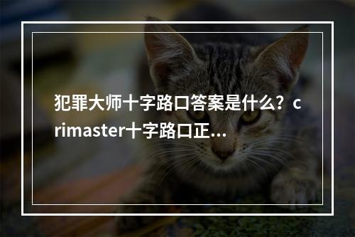 犯罪大师十字路口答案是什么？crimaster十字路口正确答案介绍[多图]