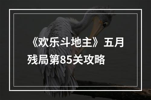 《欢乐斗地主》五月残局第85关攻略