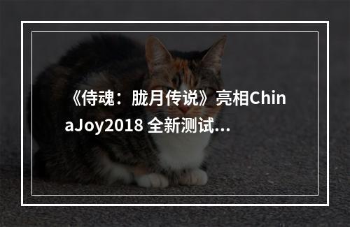 《侍魂：胧月传说》亮相ChinaJoy2018 全新测试来袭版本再升级