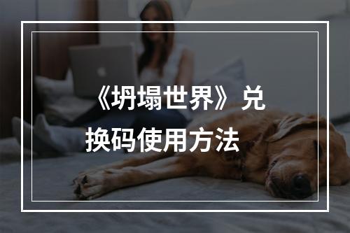 《坍塌世界》兑换码使用方法