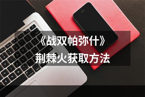 《战双帕弥什》荆棘火获取方法