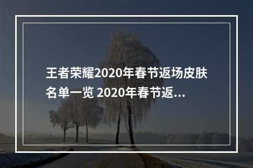 王者荣耀2020年春节返场皮肤名单一览 2020年春节返场皮肤有哪些