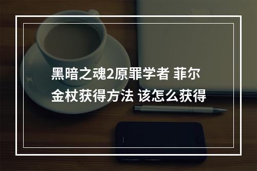 黑暗之魂2原罪学者 菲尔金杖获得方法 该怎么获得