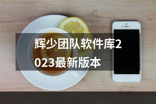 辉少团队软件库2023最新版本