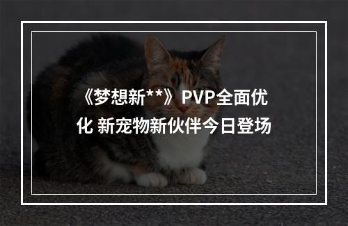 《梦想新**》PVP全面优化 新宠物新伙伴今日登场