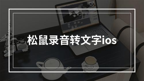 松鼠录音转文字ios