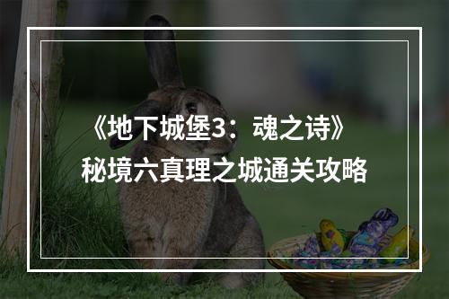 《地下城堡3：魂之诗》秘境六真理之城通关攻略