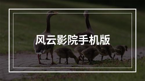 风云影院手机版