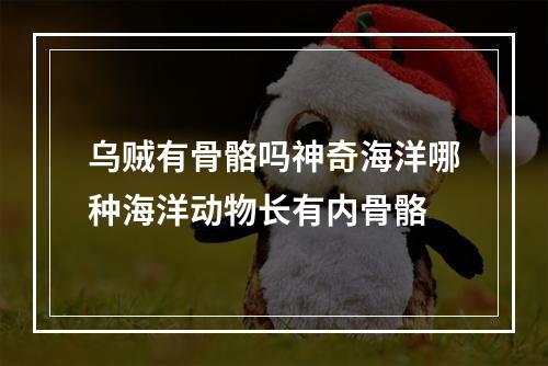 乌贼有骨骼吗神奇海洋哪种海洋动物长有内骨骼