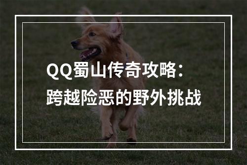 QQ蜀山传奇攻略：跨越险恶的野外挑战