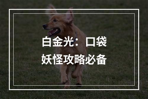 白金光：口袋妖怪攻略必备