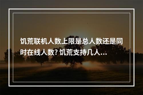 饥荒联机人数上限是总人数还是同时在线人数? 饥荒支持几人联机攻略介绍