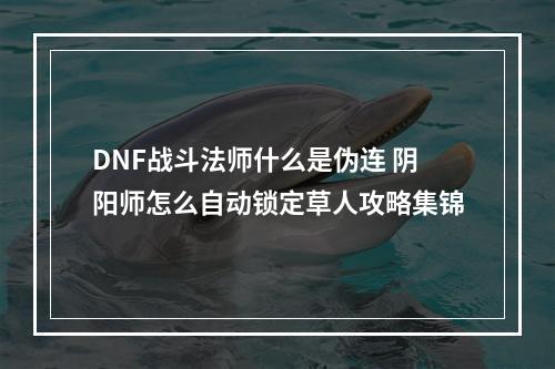 DNF战斗法师什么是伪连 阴阳师怎么自动锁定草人攻略集锦