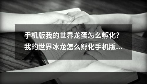 手机版我的世界龙蛋怎么孵化? 我的世界冰龙怎么孵化手机版攻略详情