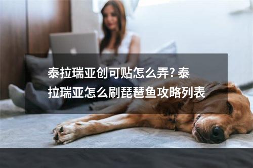 泰拉瑞亚创可贴怎么弄? 泰拉瑞亚怎么刷琵琶鱼攻略列表