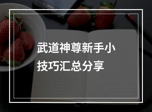 武道神尊新手小技巧汇总分享