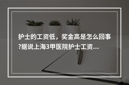 护士的工资低，奖金高是怎么回事?据说上海3甲医院护士工资3000，奖金七八千，月入万元，是真是假? 我的世界小护为什么不更新了攻略一览