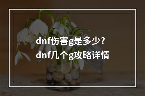 dnf伤害g是多少? dnf几个g攻略详情