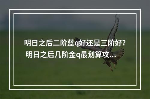 明日之后二阶蓝q好还是三阶好? 明日之后几阶金q最划算攻略详情