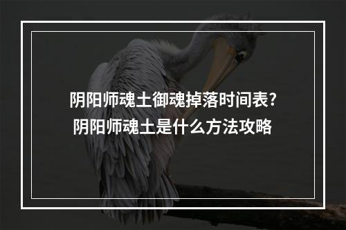 阴阳师魂土御魂掉落时间表? 阴阳师魂土是什么方法攻略