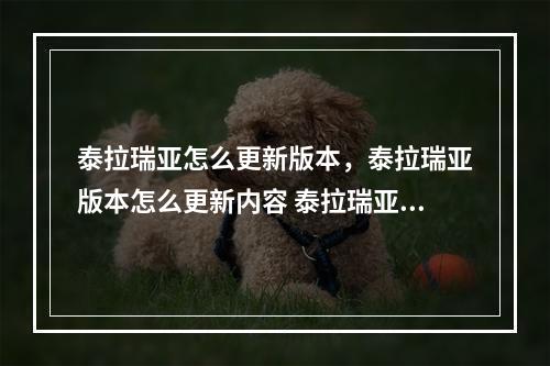 泰拉瑞亚怎么更新版本，泰拉瑞亚版本怎么更新内容 泰拉瑞亚怎么更新攻略集锦