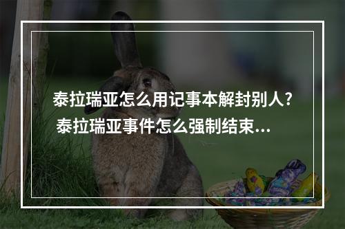 泰拉瑞亚怎么用记事本解封别人? 泰拉瑞亚事件怎么强制结束攻略一览