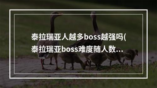 泰拉瑞亚人越多boss越强吗(泰拉瑞亚boss难度随人数增加)