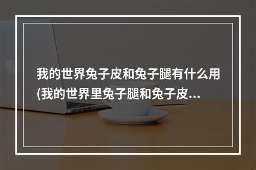 我的世界兔子皮和兔子腿有什么用(我的世界里兔子腿和兔子皮有什么用)