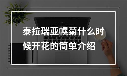 泰拉瑞亚幌菊什么时候开花的简单介绍