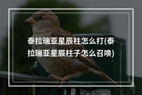 泰拉瑞亚星辰柱怎么打(泰拉瑞亚星辰柱子怎么召唤)