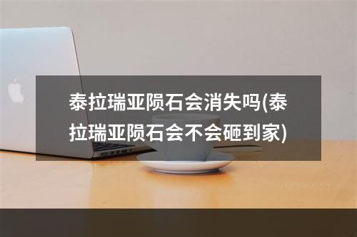 泰拉瑞亚陨石会消失吗(泰拉瑞亚陨石会不会砸到家)