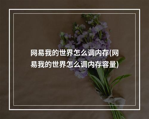 网易我的世界怎么调内存(网易我的世界怎么调内存容量)