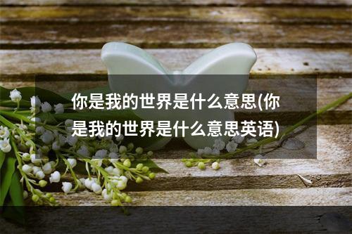 你是我的世界是什么意思(你是我的世界是什么意思英语)