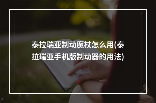 泰拉瑞亚制动魔杖怎么用(泰拉瑞亚手机版制动器的用法)