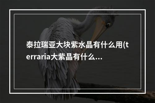 泰拉瑞亚大块紫水晶有什么用(terraria大紫晶有什么用)