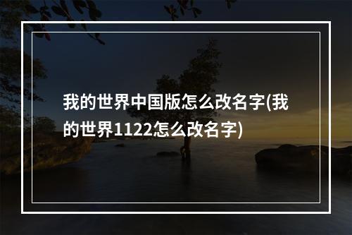 我的世界中国版怎么改名字(我的世界1122怎么改名字)