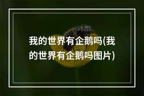 我的世界有企鹅吗(我的世界有企鹅吗图片)