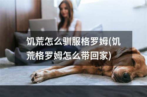 饥荒怎么驯服格罗姆(饥荒格罗姆怎么带回家)