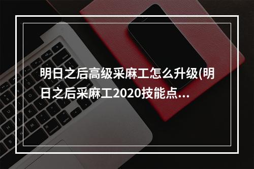 明日之后高级采麻工怎么升级(明日之后采麻工2020技能点)