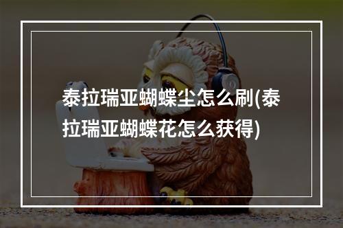 泰拉瑞亚蝴蝶尘怎么刷(泰拉瑞亚蝴蝶花怎么获得)