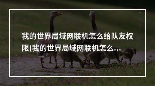 我的世界局域网联机怎么给队友权限(我的世界局域网联机怎么给队友权限设置)