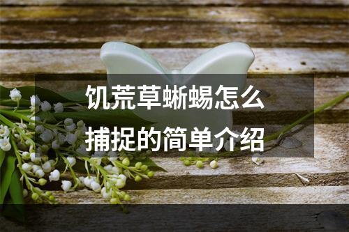 饥荒草蜥蜴怎么捕捉的简单介绍