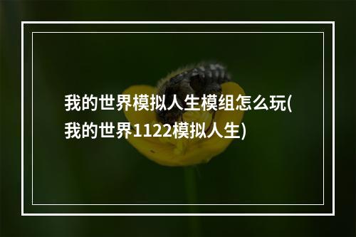 我的世界模拟人生模组怎么玩(我的世界1122模拟人生)