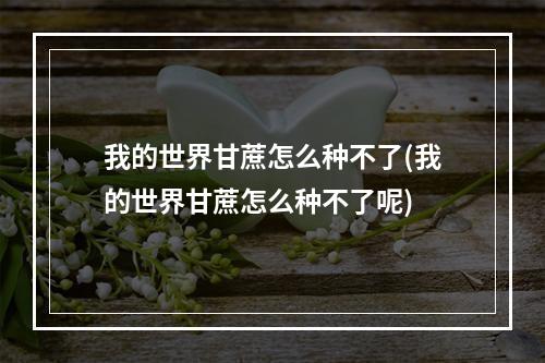 我的世界甘蔗怎么种不了(我的世界甘蔗怎么种不了呢)