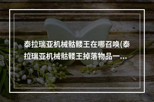 泰拉瑞亚机械骷髅王在哪召唤(泰拉瑞亚机械骷髅王掉落物品一览)