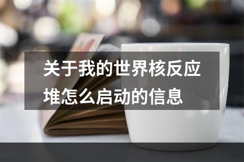 关于我的世界核反应堆怎么启动的信息