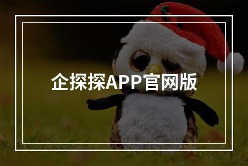 企探探APP官网版