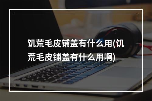 饥荒毛皮铺盖有什么用(饥荒毛皮铺盖有什么用啊)